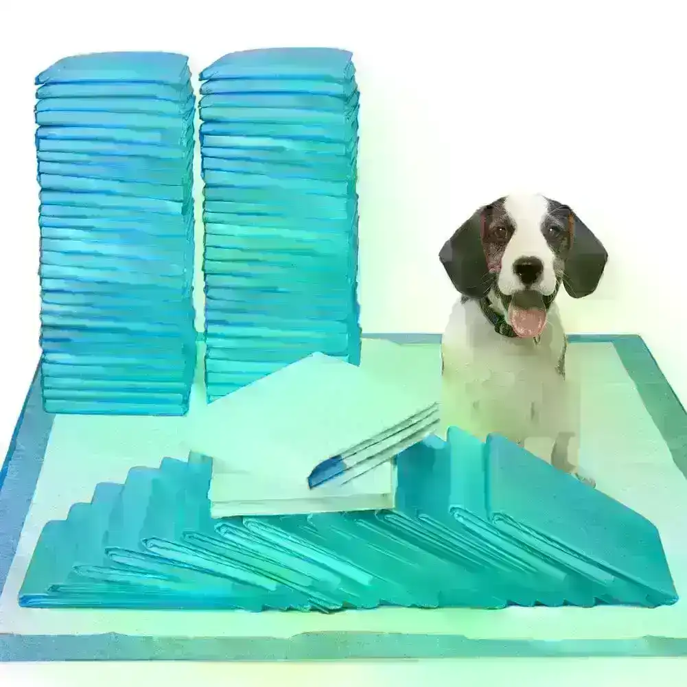100pcs Dog Absorbent Training Pad 60 x 60 cm
