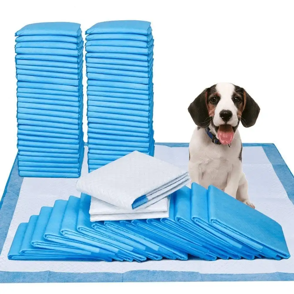 200pcs Dog Absorbent Training Pad 60 x 60 cm
