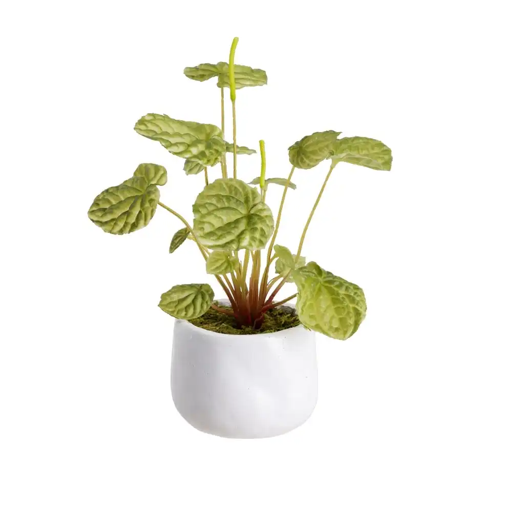 Glamorous Fusion Green Begonia Bush Artificial Faux Plant Decorative 20cm In Pot