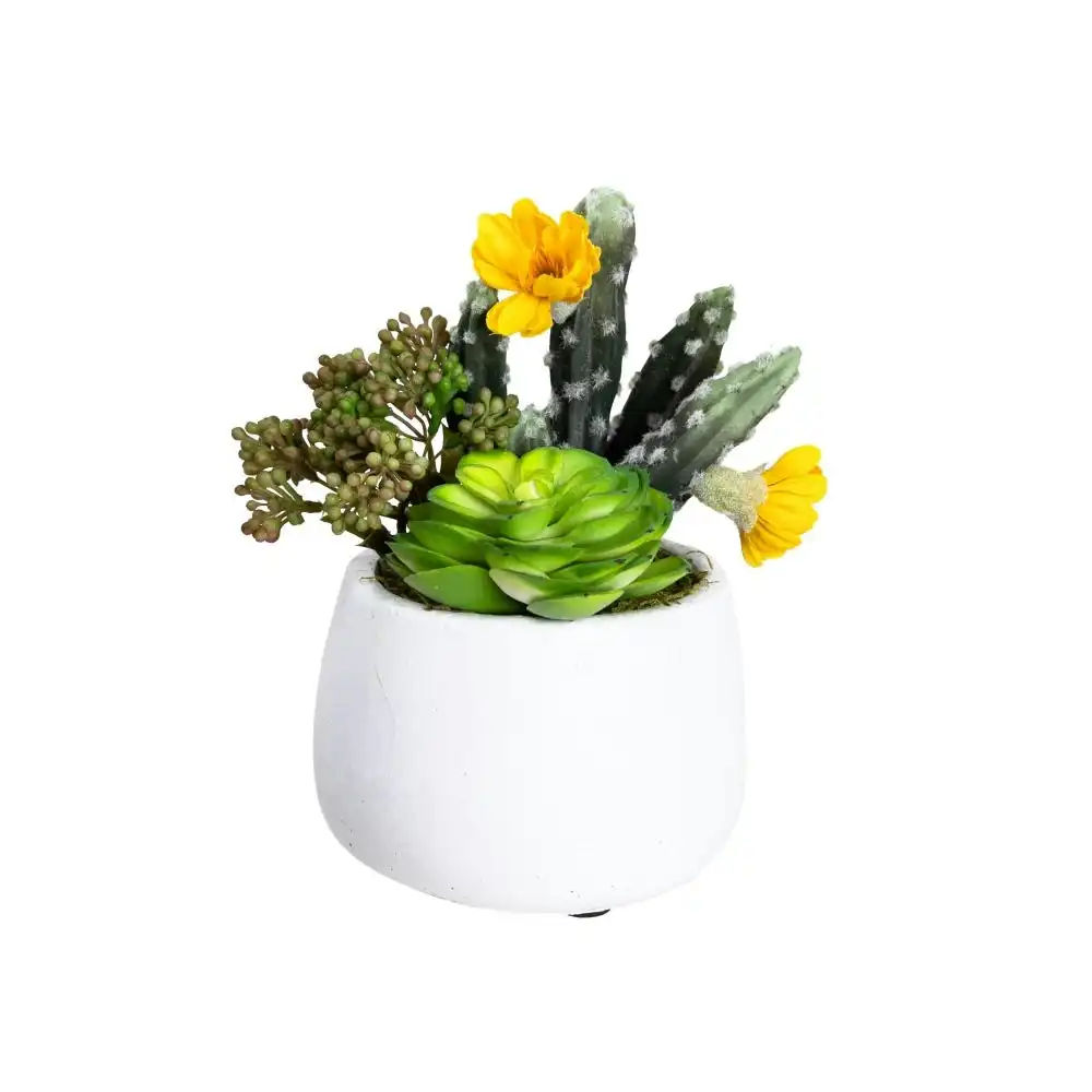 Glamorous Fusion Succulent Artificial Faux Plant Decorative 20cm In Small Pot