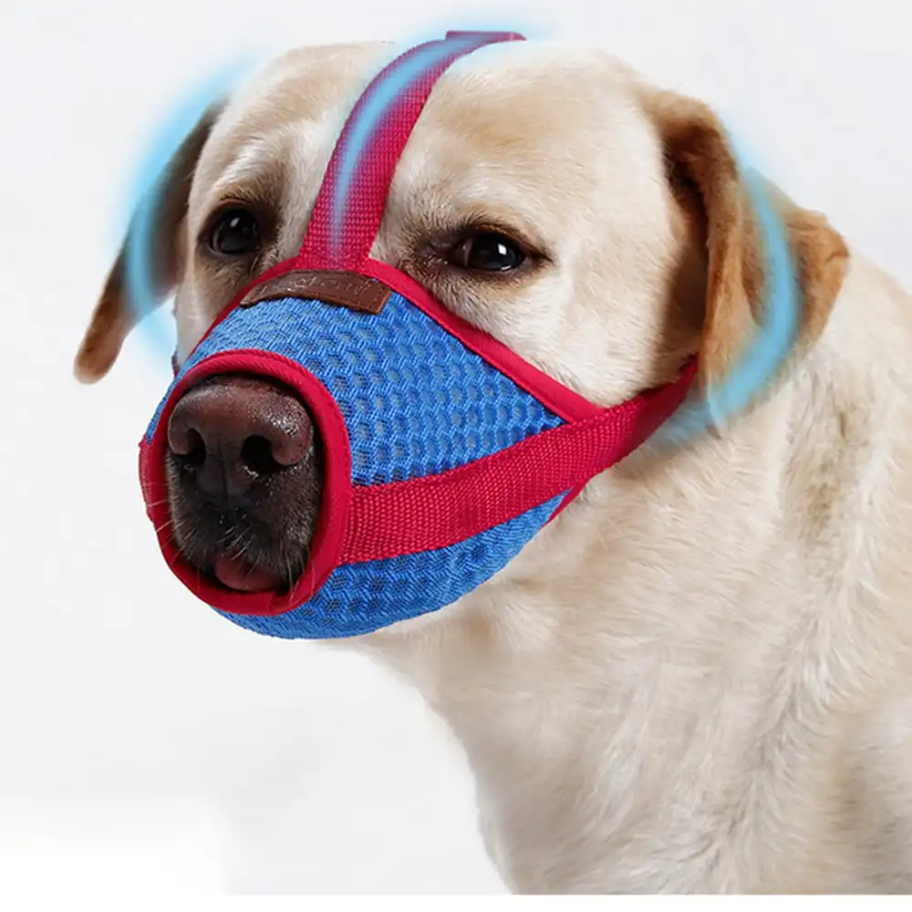 Dog Muzzle Soft Mesh Covered Muzzles for Dogs Muzzle with Adjustable Straps
