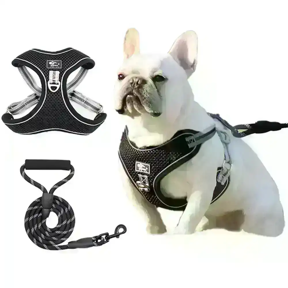 Dog Harness Step-in Breathable Puppy Harnesses for Small Medium Dogs