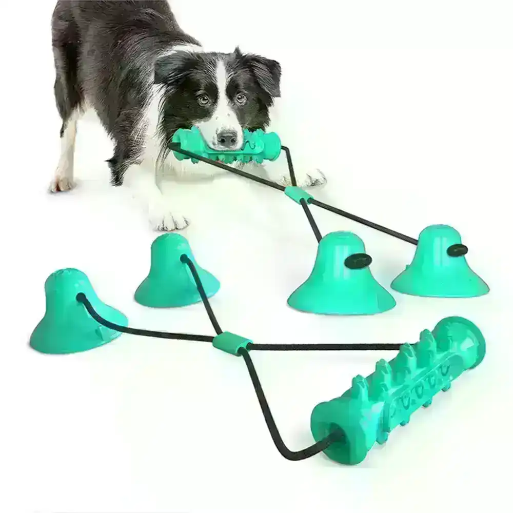 Pet Double Suction Cup Molar Bite Toy, Dog Chew Toys, Dog Toy