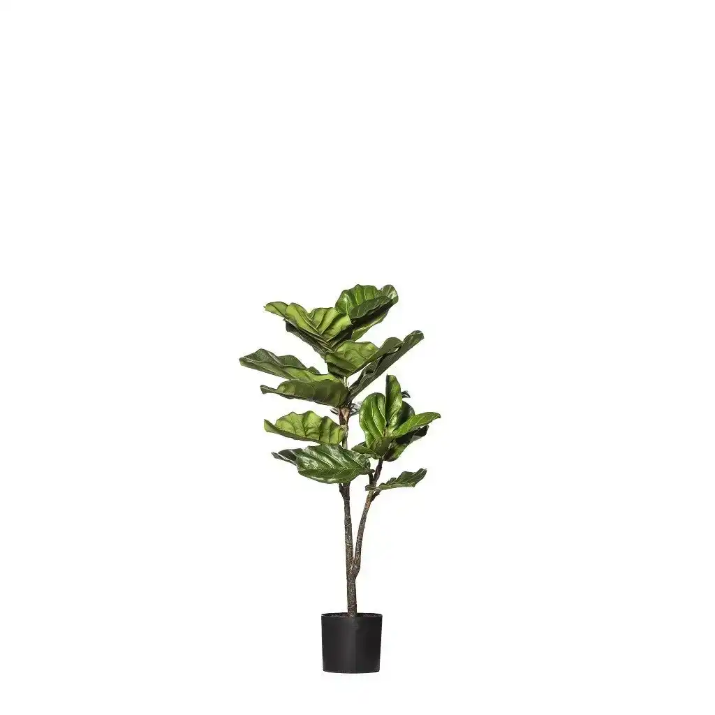 Rogue Fiddle Tree Delux 50x50x102cm Green