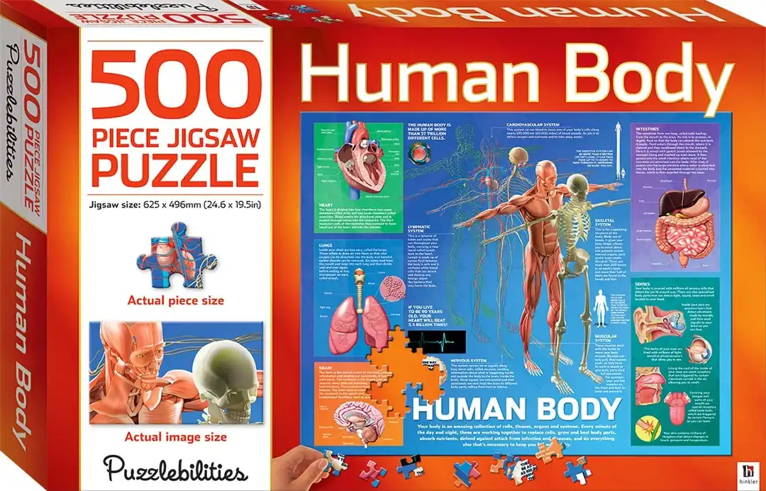 500-Piece Jigsaw Puzzle, Human Body