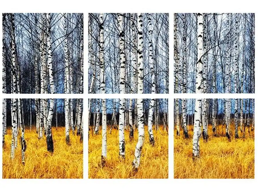 'Winter in the Forest' Hanging Wall Art