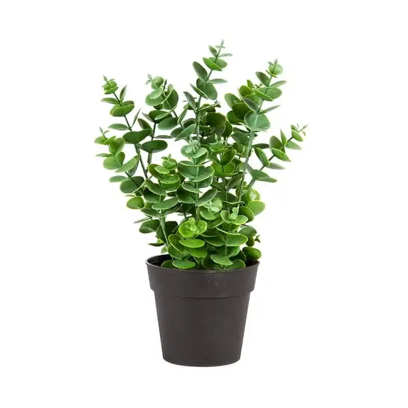 Willow & Silk Artificial/Faux 27cm Green Eucalyptus Plant w/ Pot
