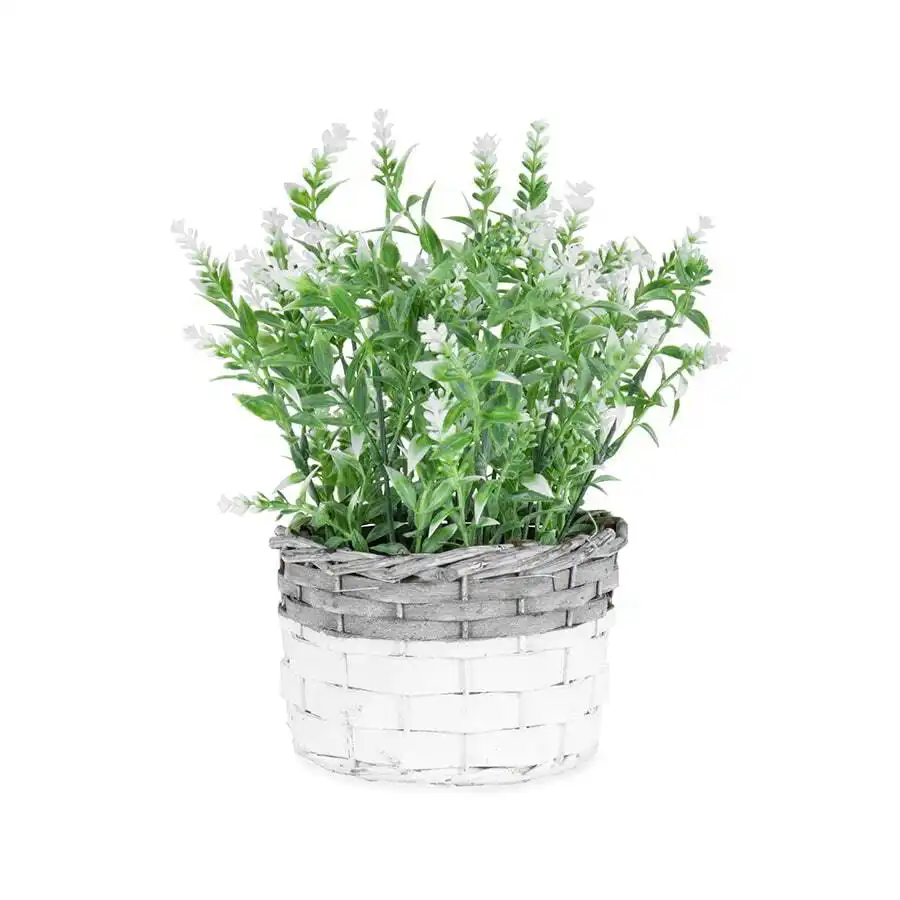 Willow & Silk Artificial 26cm White-Stem Flower in Basket Plant