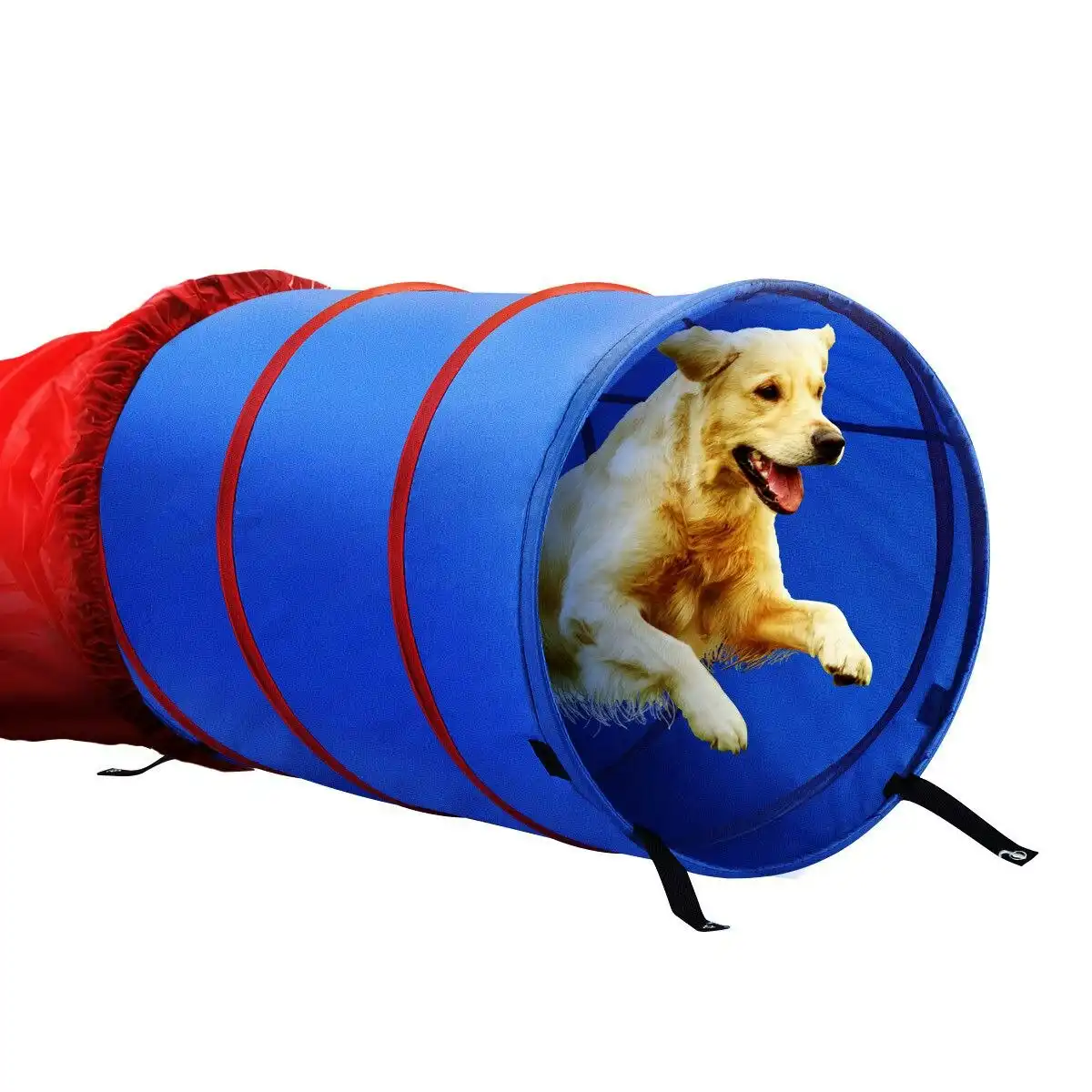 Ausway Pet Dog Tunnel Puppy Agility Equipment Interactive Toys Exercise Training with Carrying Case