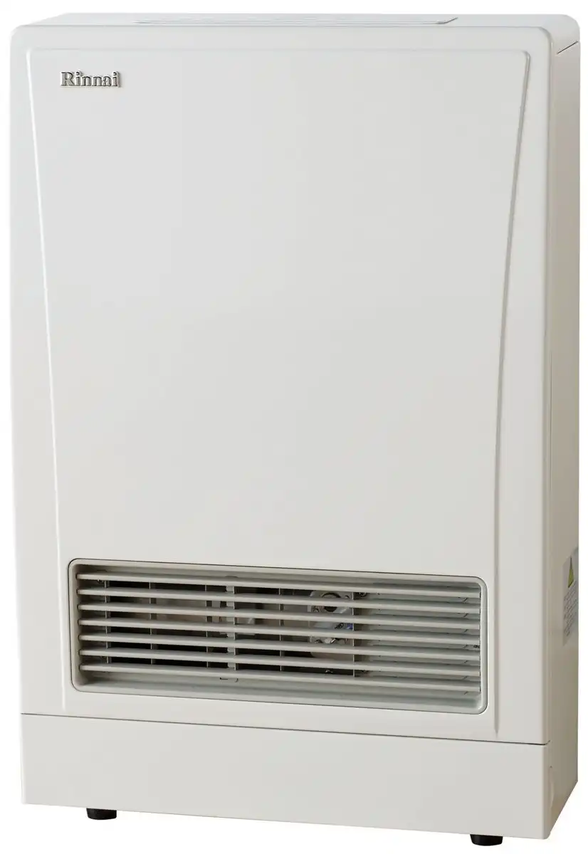 Rinnai EnergySaver Flued Natural Gas Heater