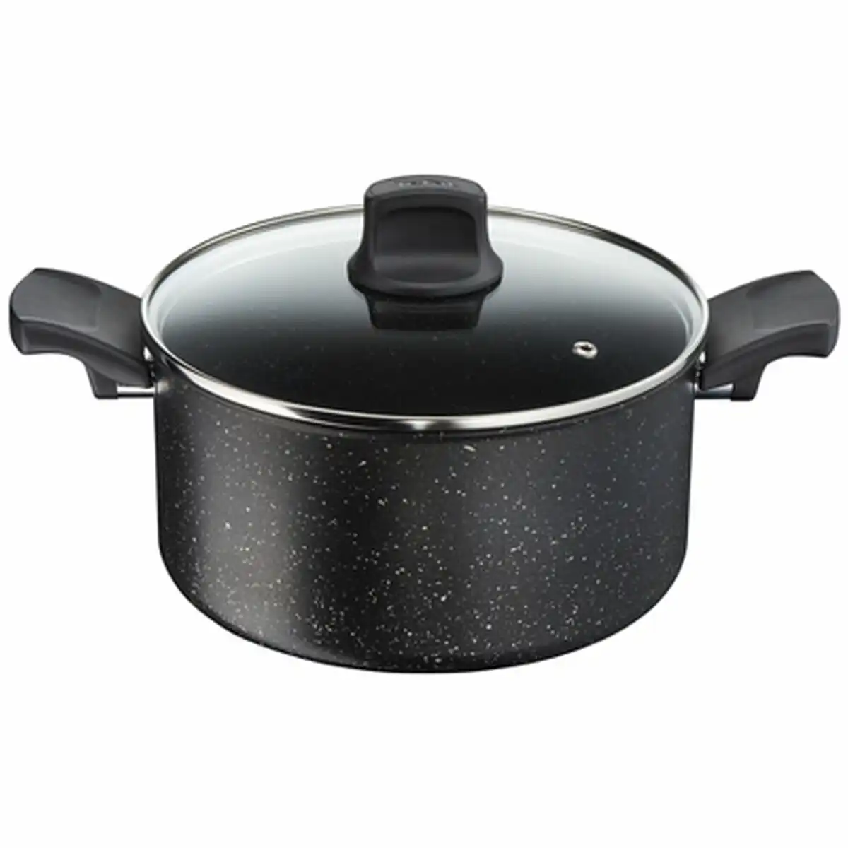 Tefal Everest 24cm Stewpot with Lid