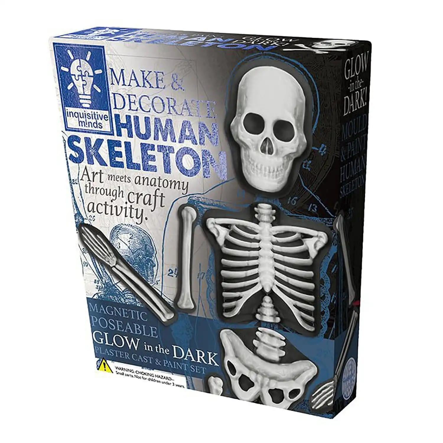 Make & Decorate Set - Human Skeleton