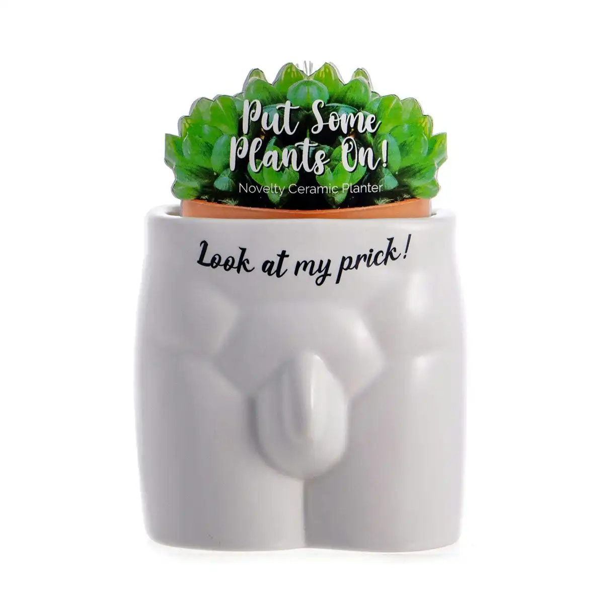 Put Some Plants On - Look At My Prick Planter