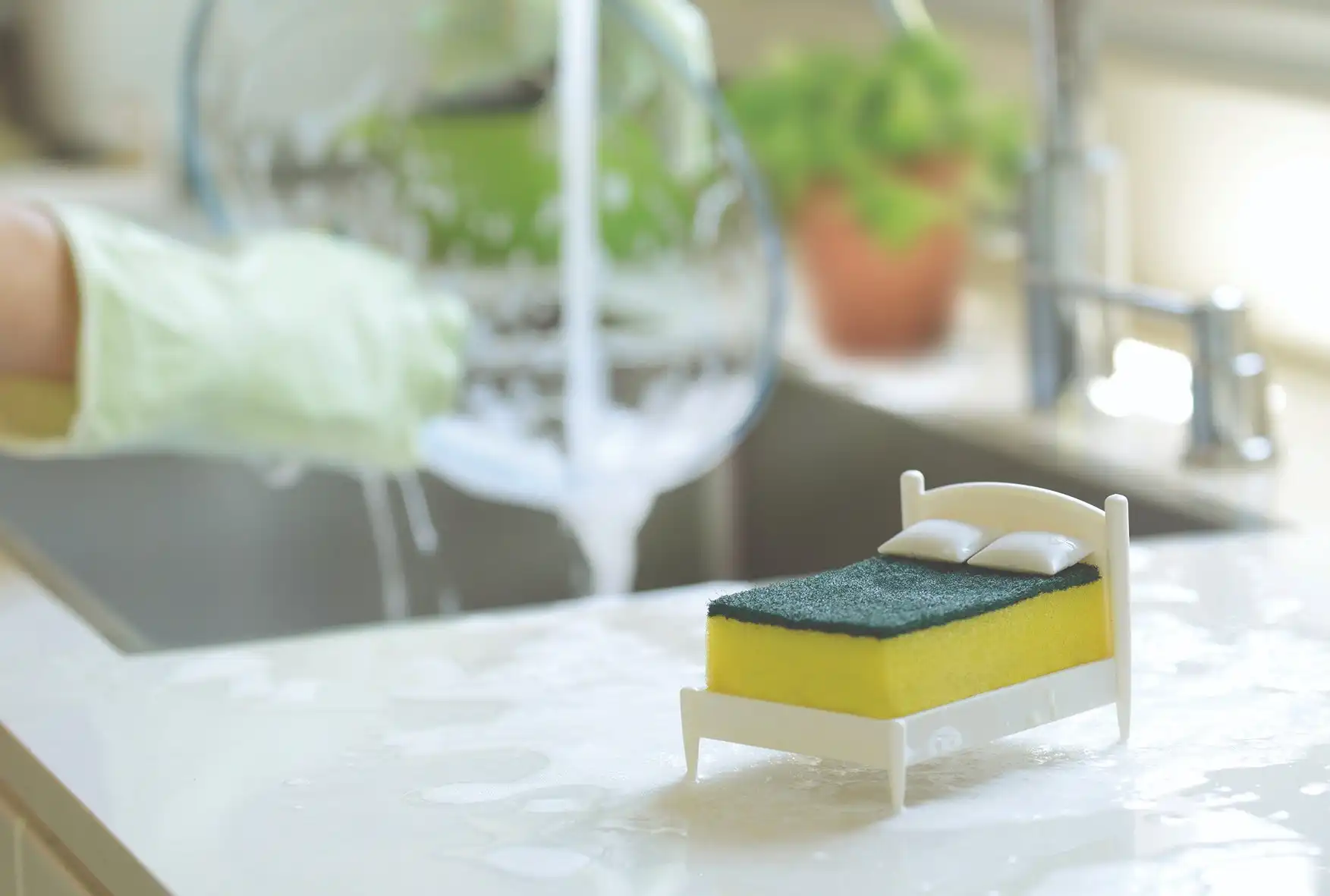 Clean Dream - Kitchen Sponge