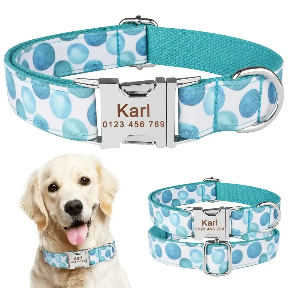 K8 Personalised Dog Collar