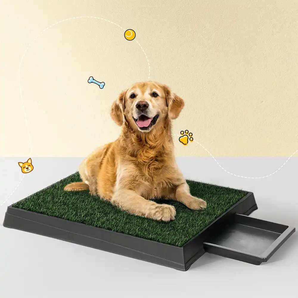 i.Pet Pet Training Pad Dog Potty Toilet Large Loo Portable With Tray Grass Mat