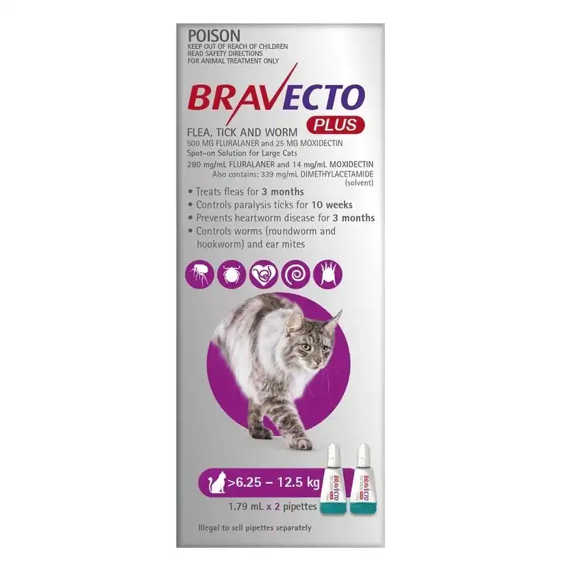Bravecto PLUS for Large Cats (Purple)