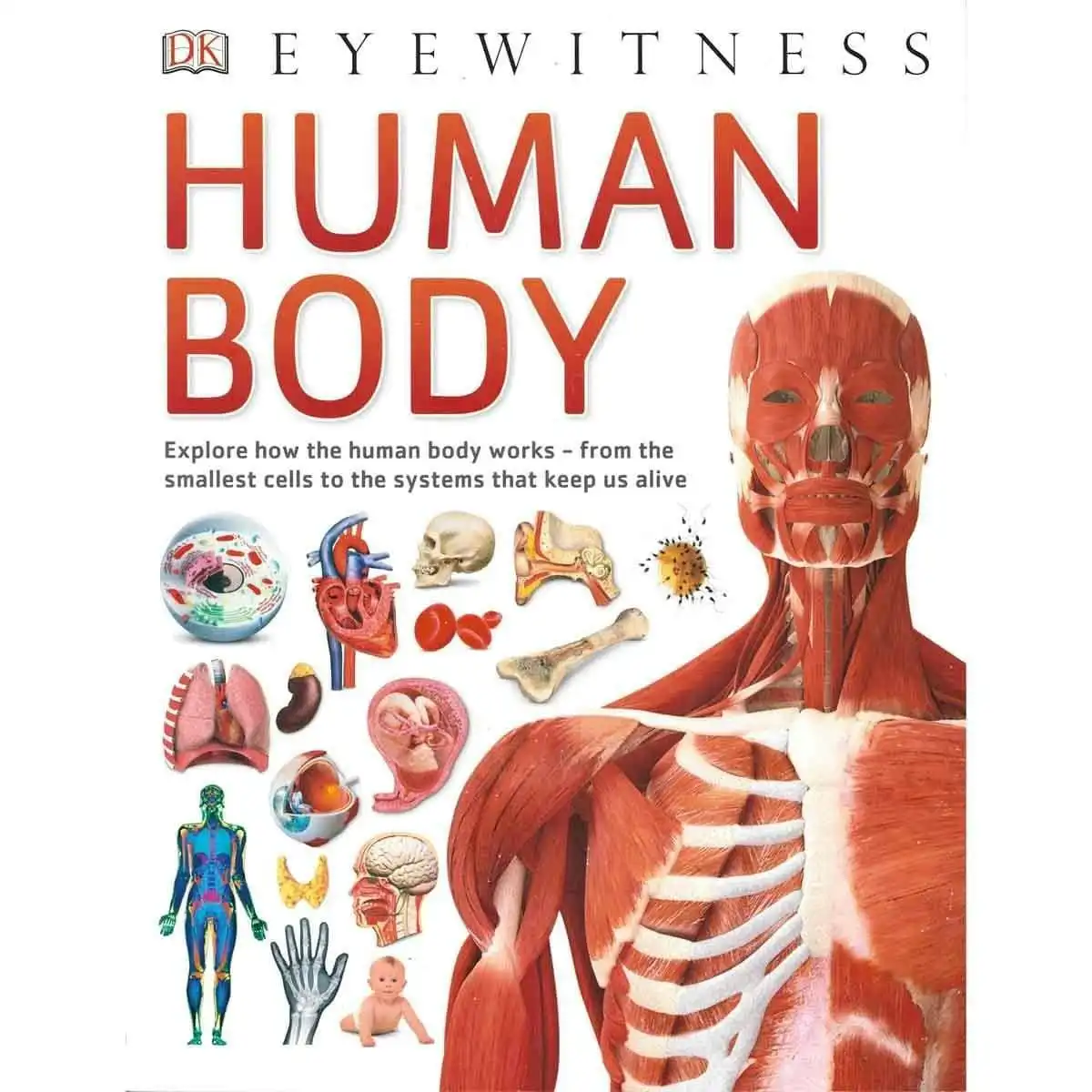 DK Eyewitness - Human Body