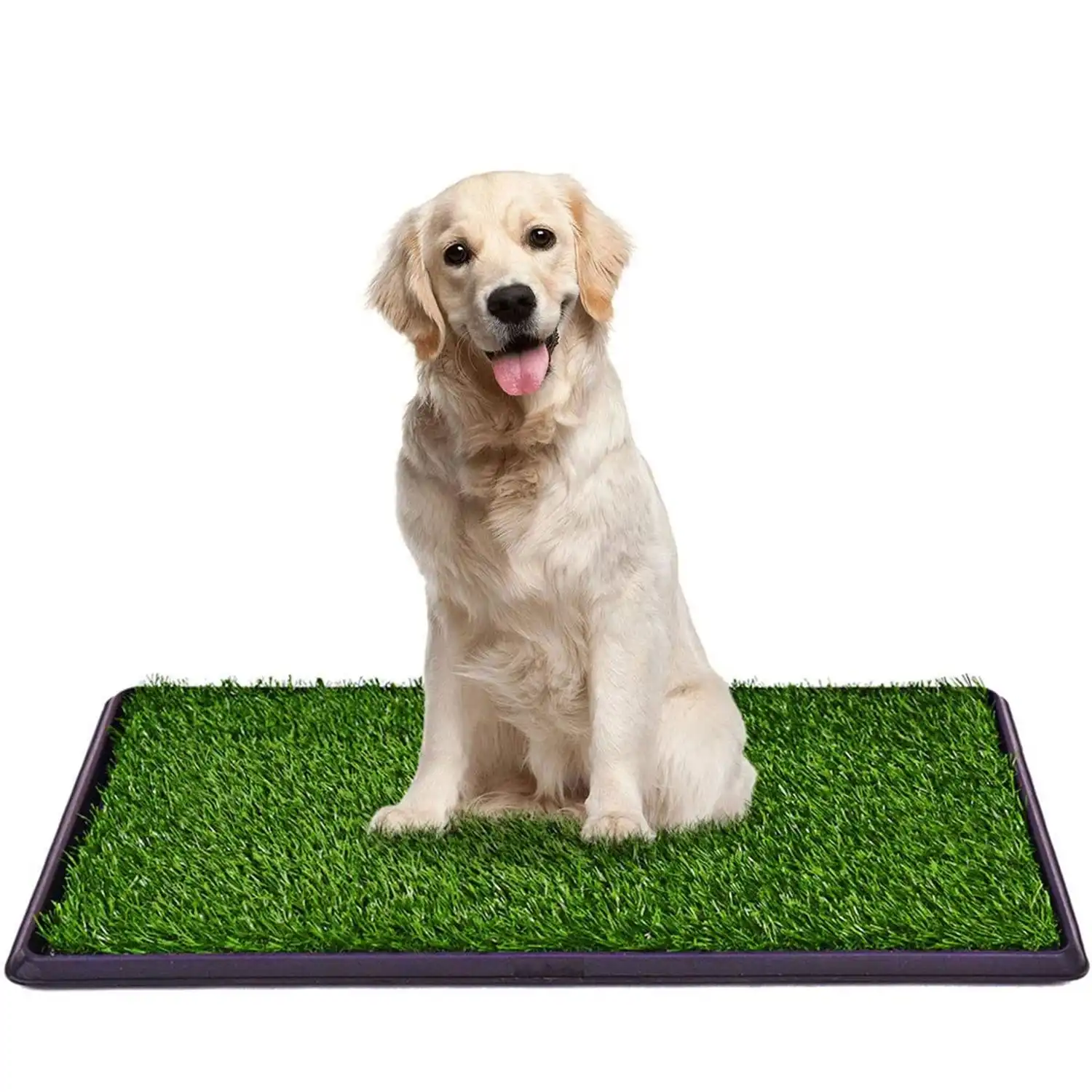 Indoor Dog Potty Toilet Grass Tray Pads Training Puppy Medium Mat