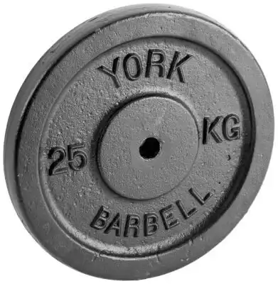 York 25kg Cast Iron Disc