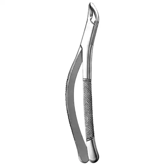 Livingstone Dental Extracting Forceps No. 151S Lower Child US Box Joint Stainless Steel
