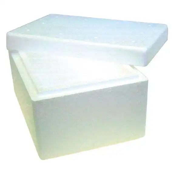 Foam Cooler Box with Lid 2L 230 x 160 x 120mm