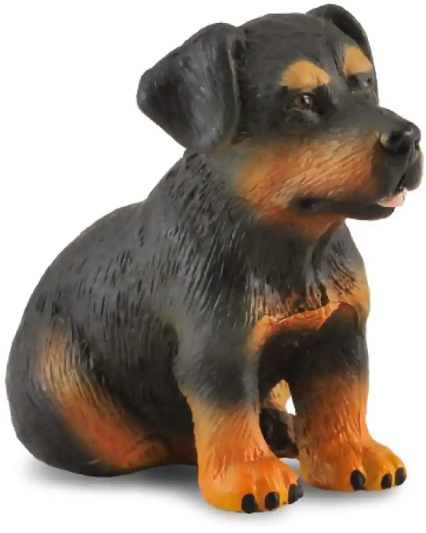 Collecta - Rottweiler Puppy Dog Small Figurine