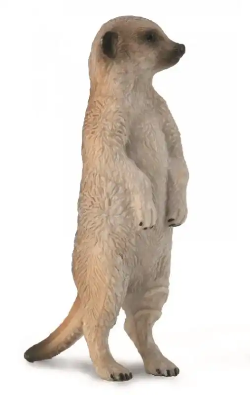 Collecta - Meerkat Small Animal Figurine
