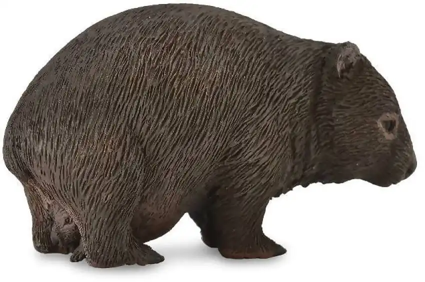 Collecta - Australian Wombat Medium Animal Figurine