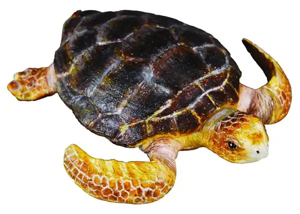 Collecta Loggerhead Turtle Animal Figurine