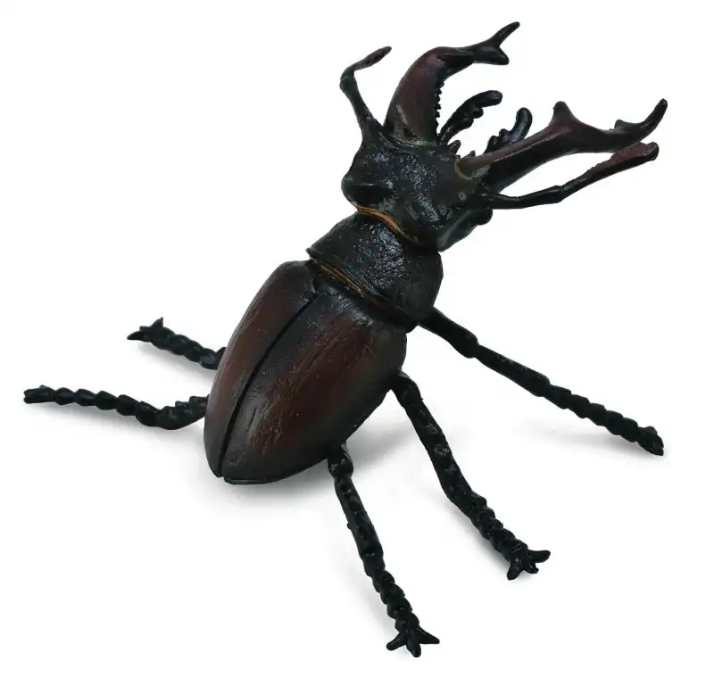 Collecta Stag Beetle Animal Figurine