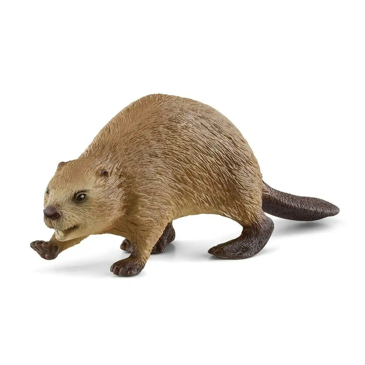 Schleich - Beaver   Wildlife Animal Figurine
