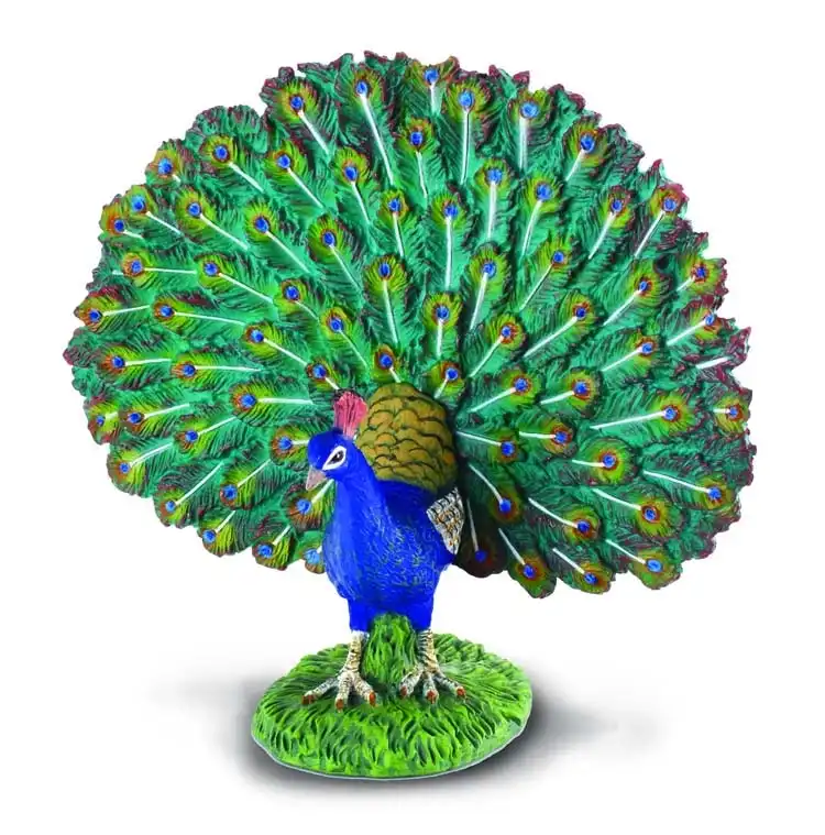 Collecta Peacock Bird Animal Figurine