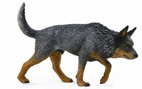 Collecta - Australian Cattle Dog  Animal Figurine