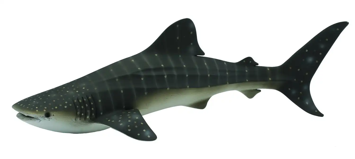Collecta Whale Shark Extra Large Ocean Animal Figurine
