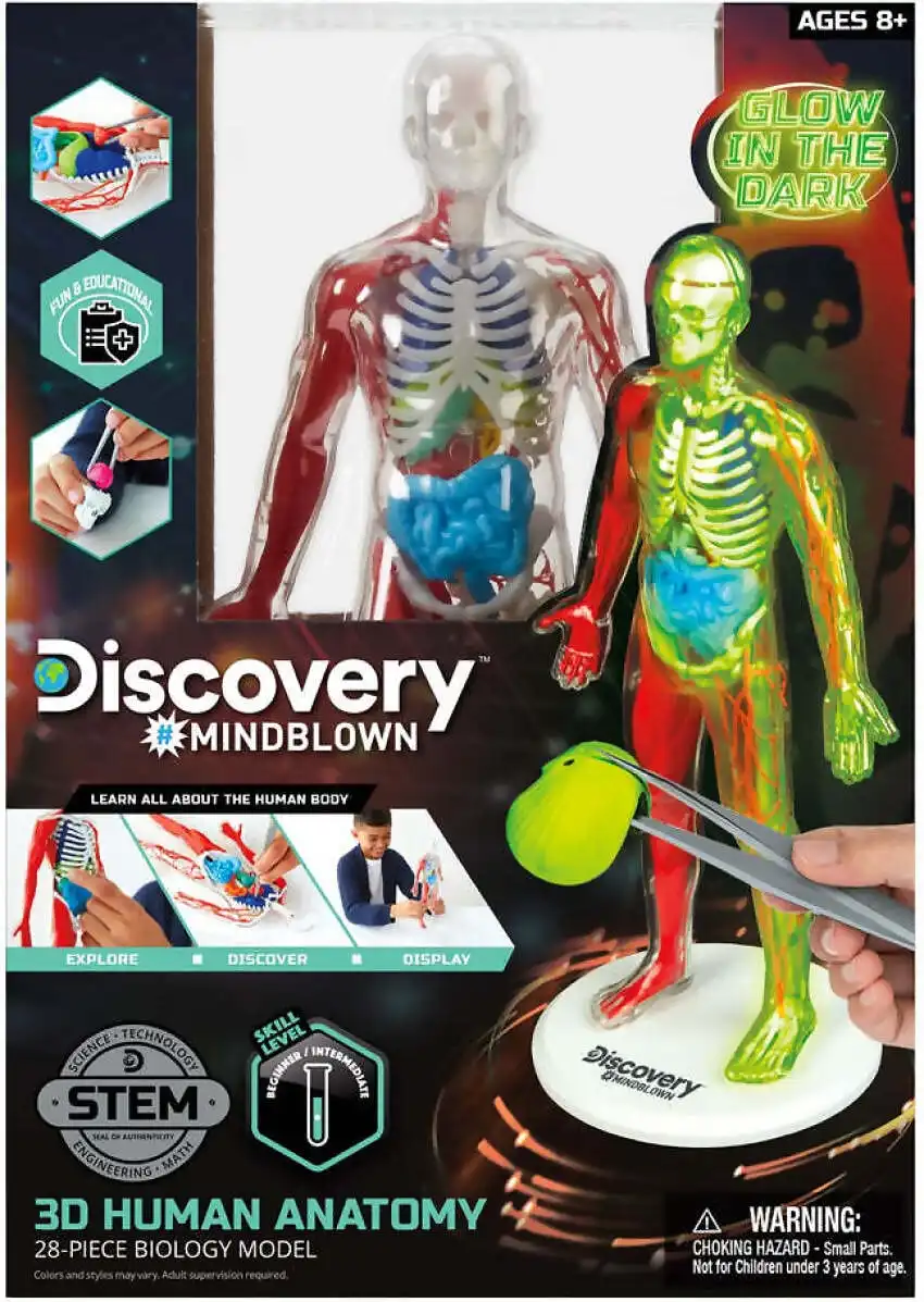 Discovery Mindblown 3d Human Anatomy 28-piece Biology Model