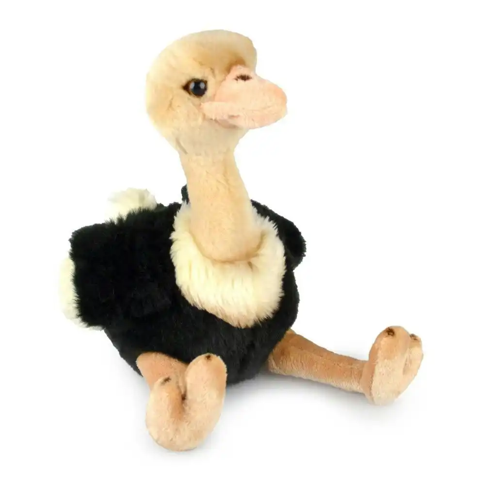 Korimco 22cm Ostrich Kids/Children Animal Soft Plush Stuffed Toy Black 3y+