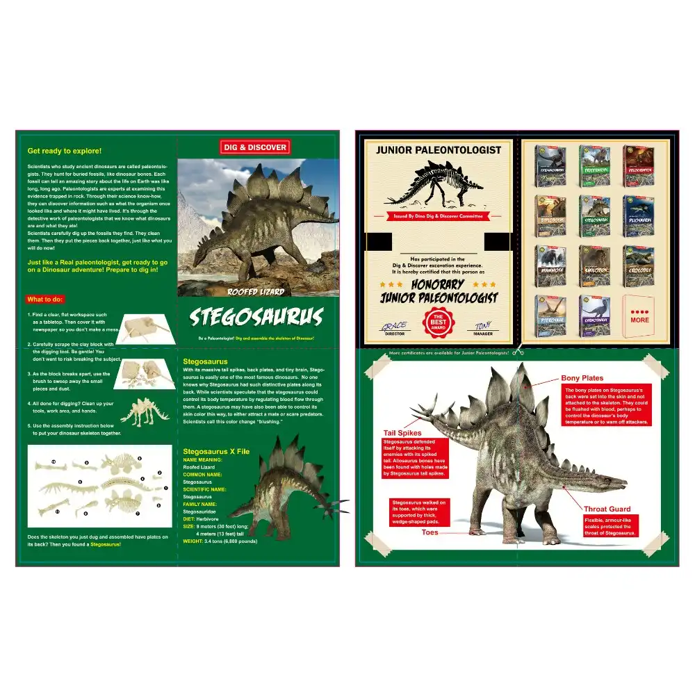 2PK Kaper Kidz Childrens Dig & Discover Stegosaurus Dig/Excavation Kits 6y+
