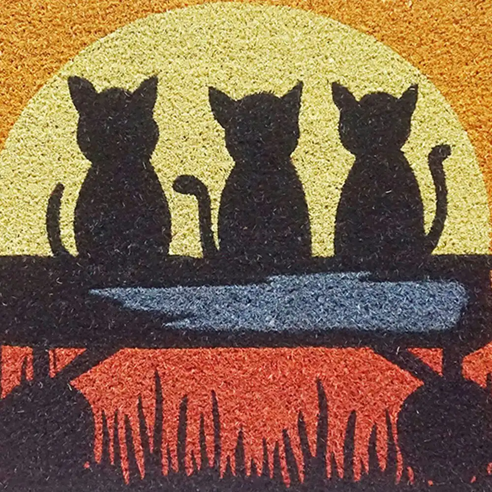 Solemate Latex Backed Coir Kittens Sun 45x75cm Slim Outdoor Stylish Doormat