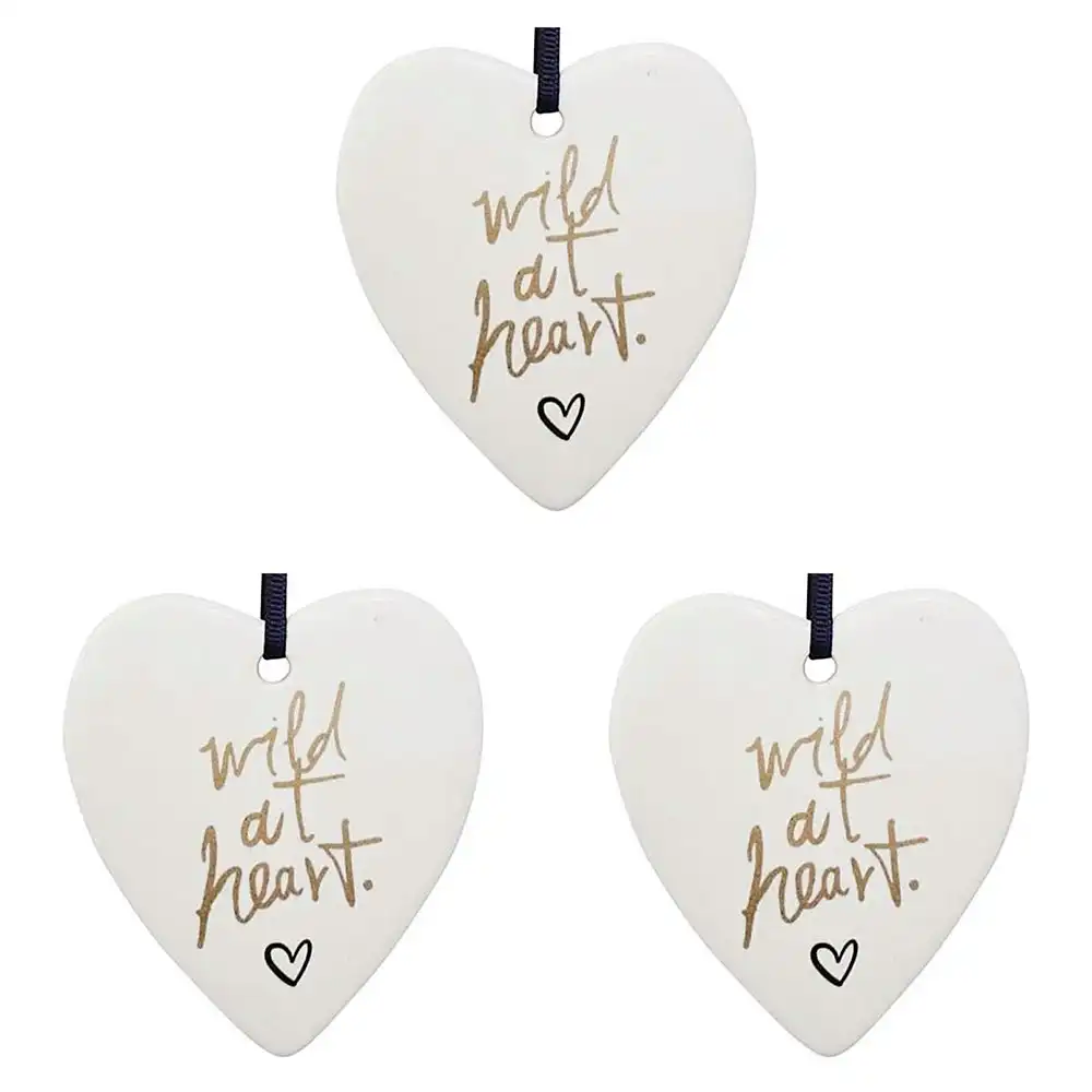 3x Ceramic Hanging 8x9cm Heart Wild At Heart w/ Hanger Ornament Home Room Decor