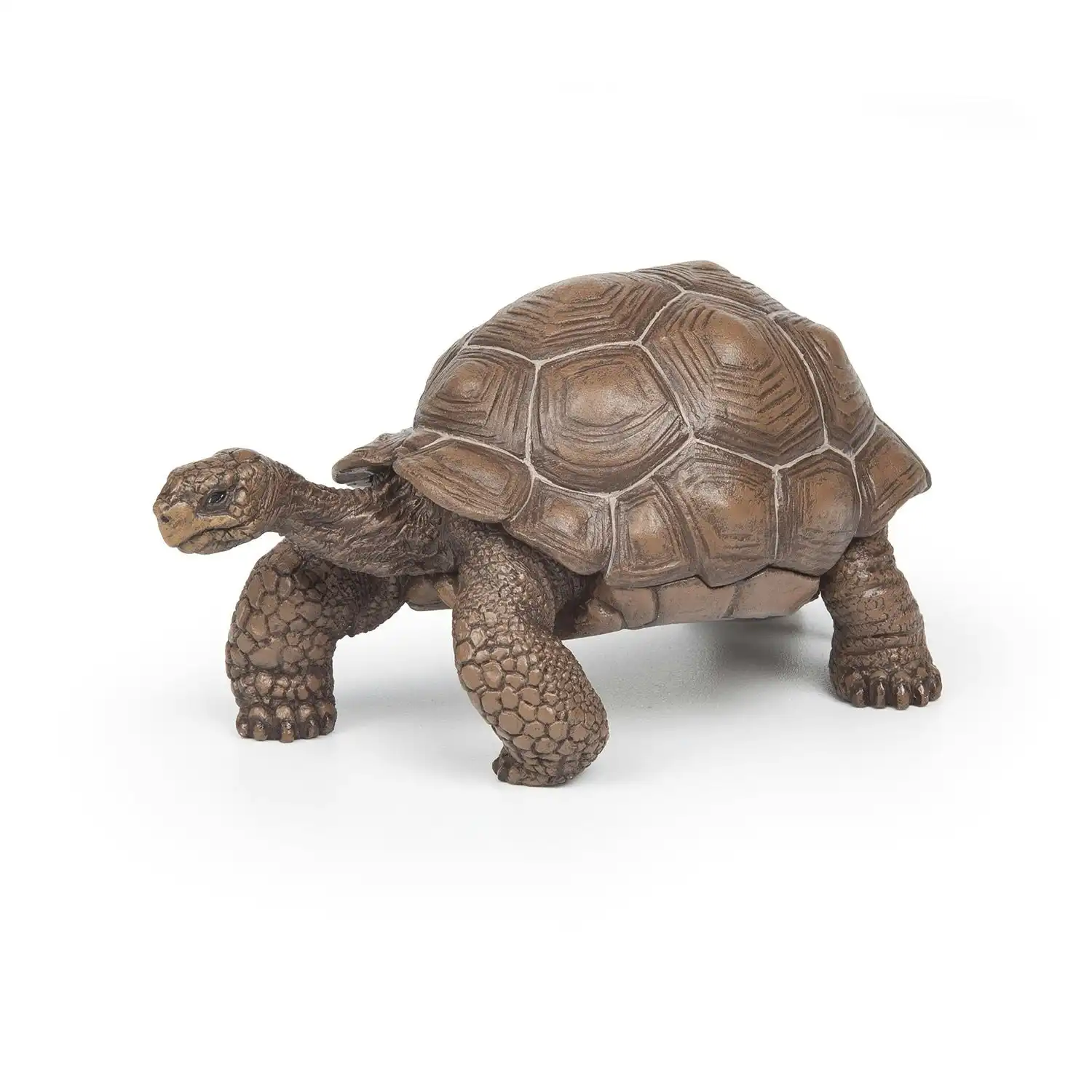Papo - Galöpagos tortoise  Figurine