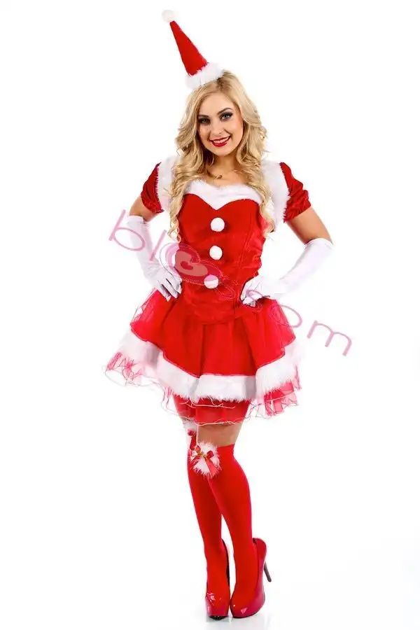 Deluxe Christmas Santa Womens Costume