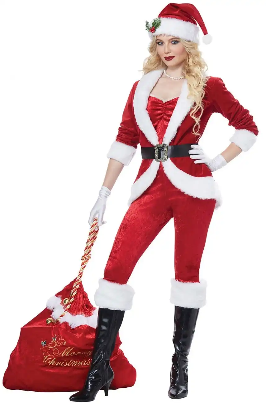 Sassy Santa Womens Costume