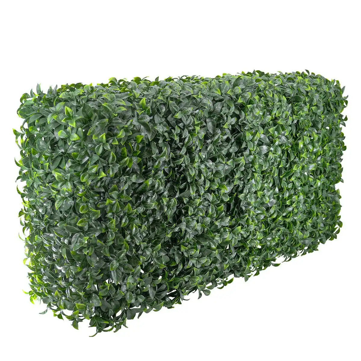 Freestanding Artificial Hedge - Pittosporum 100x50cm