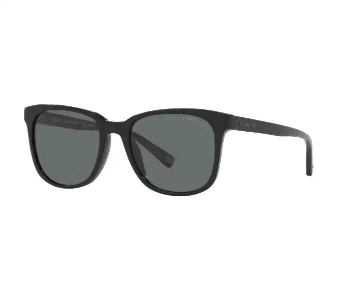 Mens Coach Polarised Sunglasses Hc8313u Black/ Dark Grey Sunnies