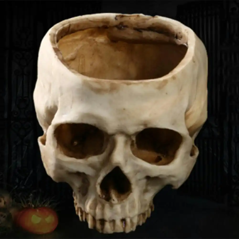 Human Skull Planter Pot Garden Décor Flower Succulent Pot