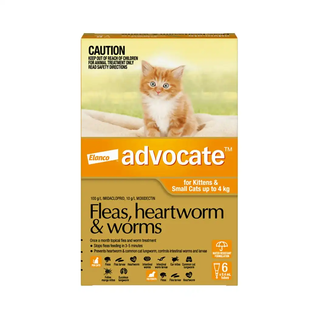 Advocate Cat Small 0-4kg Orange - 6pk
