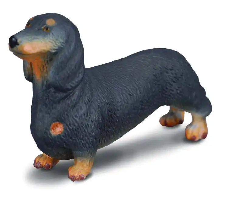 Collecta - Dachshund Dog Animal Figurine