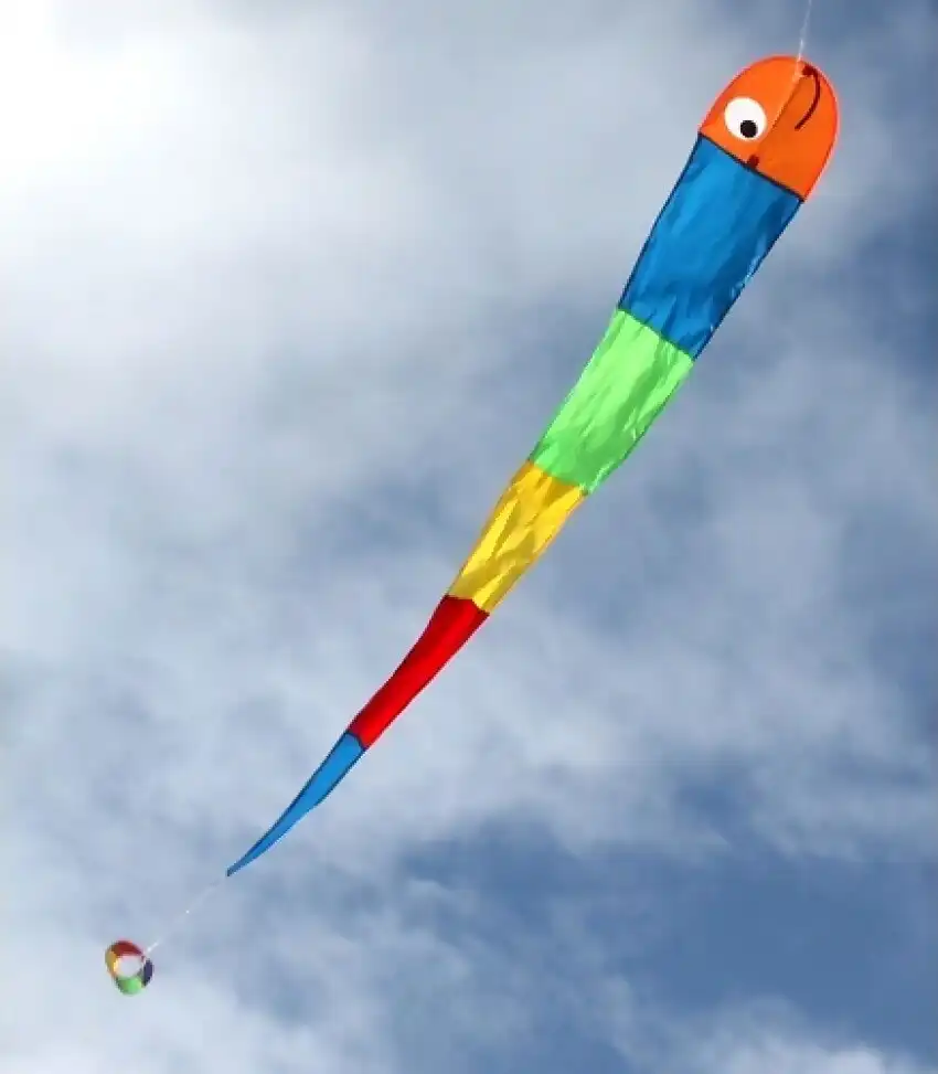 Windspeed - Wilma The Worm Kite Single Line - Ocean Breeze Model 815