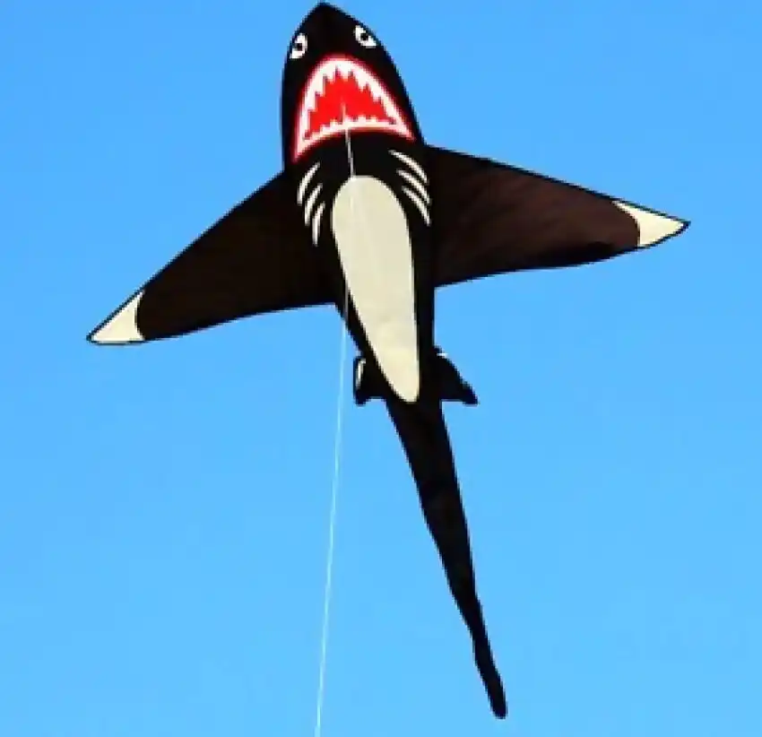 Windspeed - Shark! Kite Single Line - Ocean Breeze Model 856